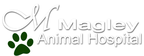 Magley Animal Hospital