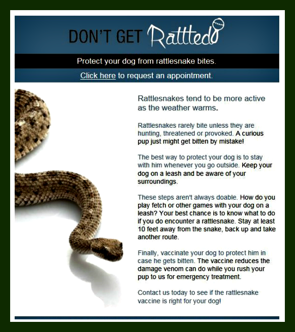 What is Rattlesnake Vaccine for Dogs?